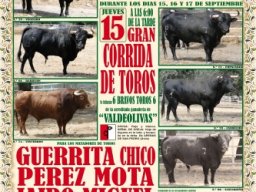 Fiestas 2011 &raquo; FIESTAS2011